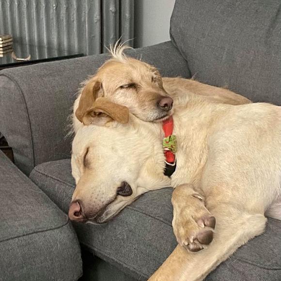 Meet your Posher, Teresa - Picture 1 of 1